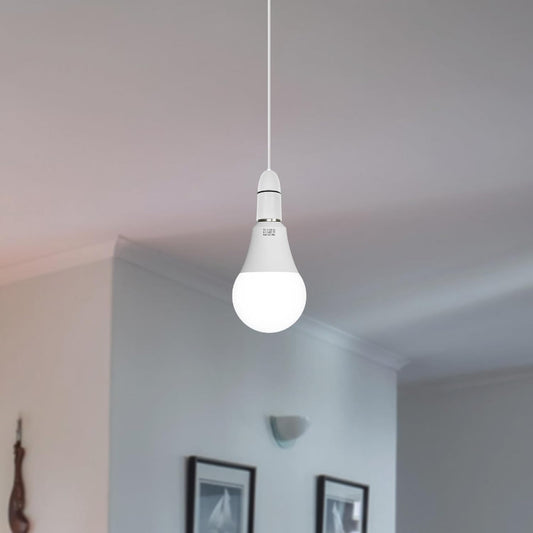 LED Birne E27 7W
