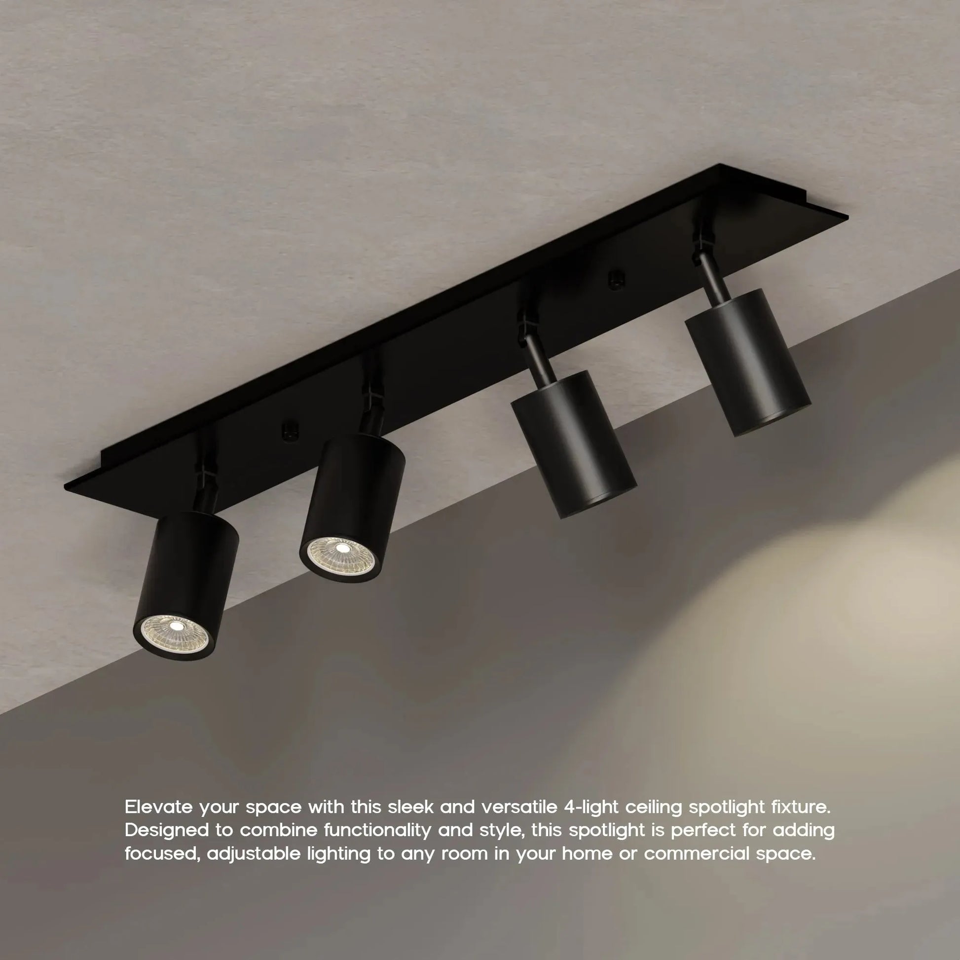 Ceiling Light