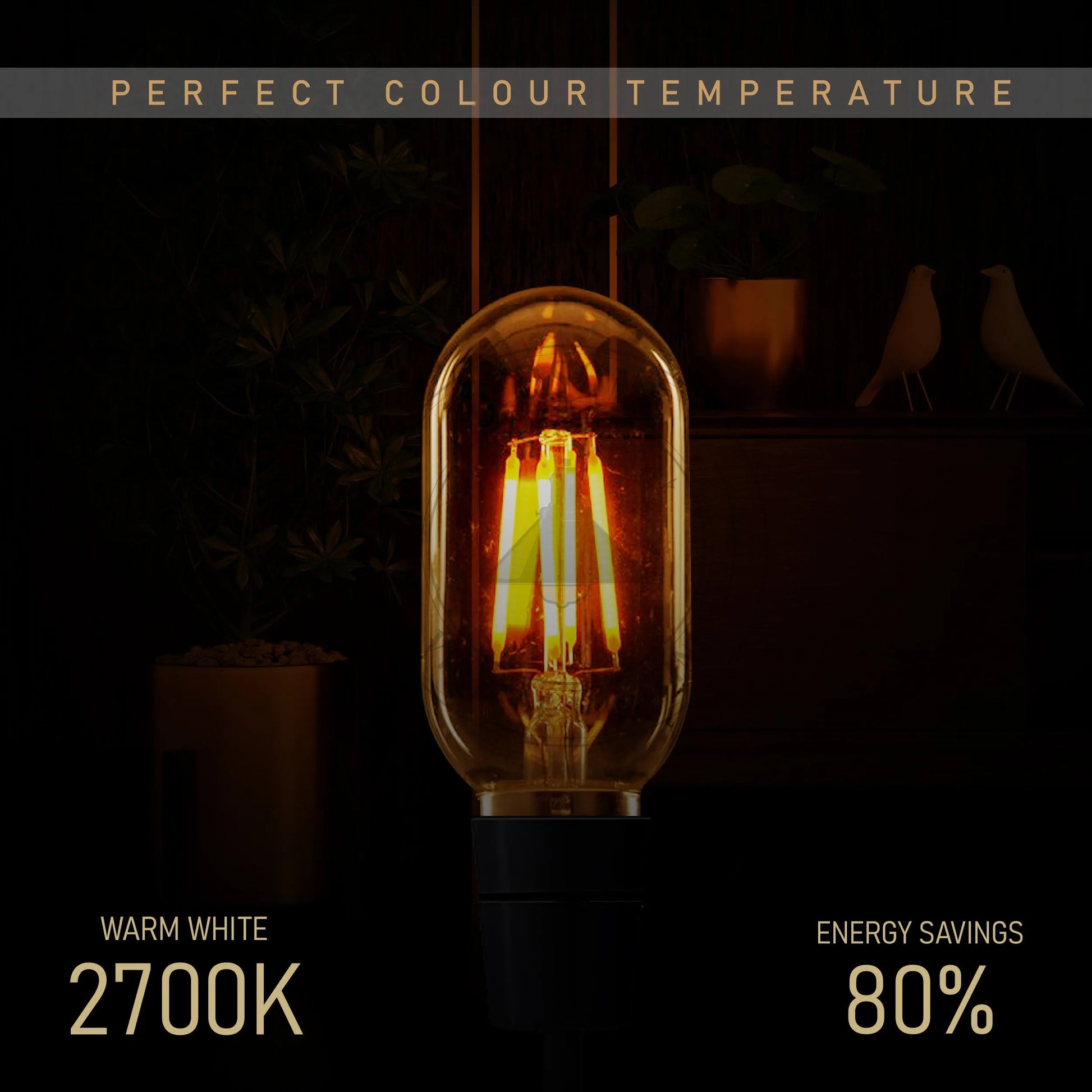 B22 Base Bulb B