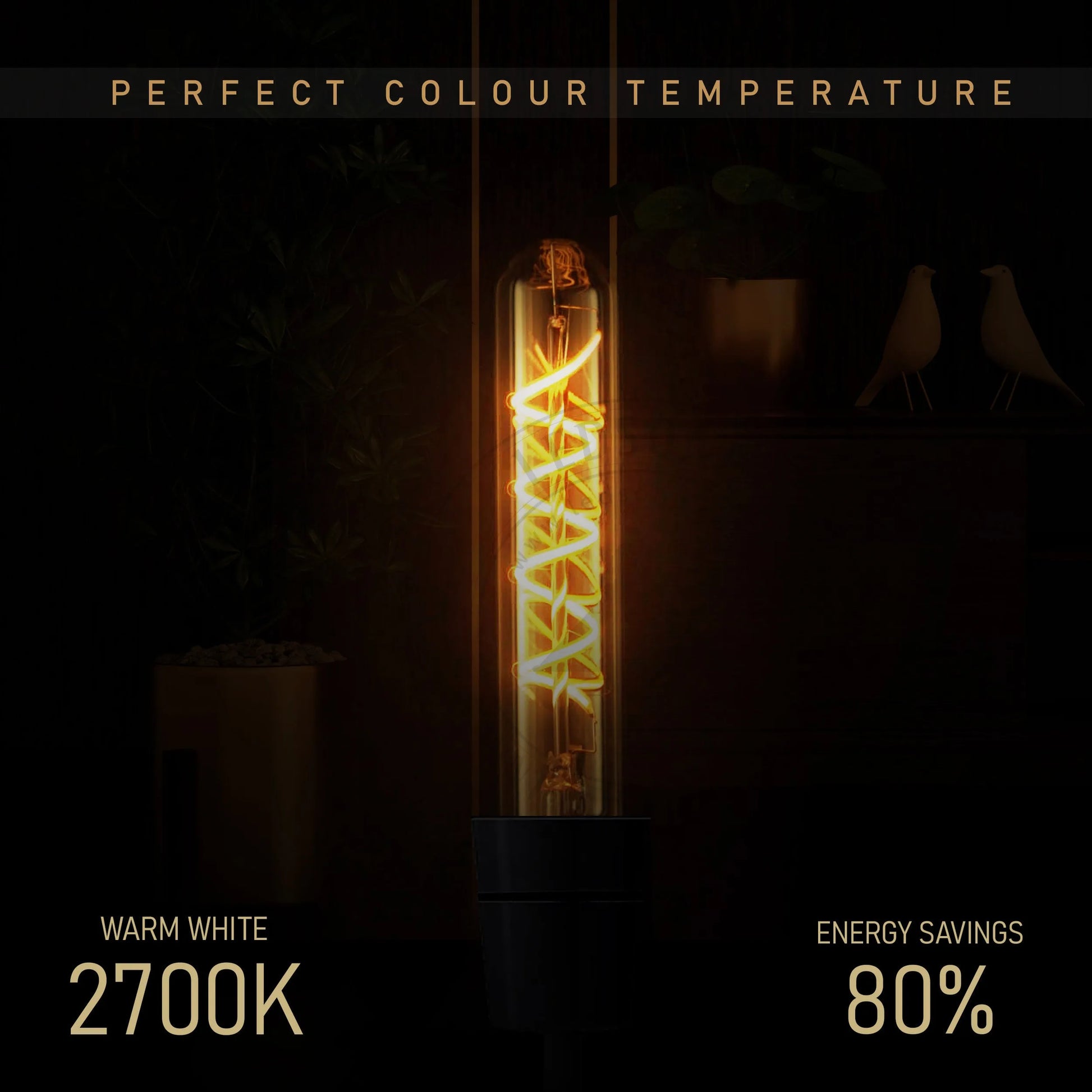 Bulb