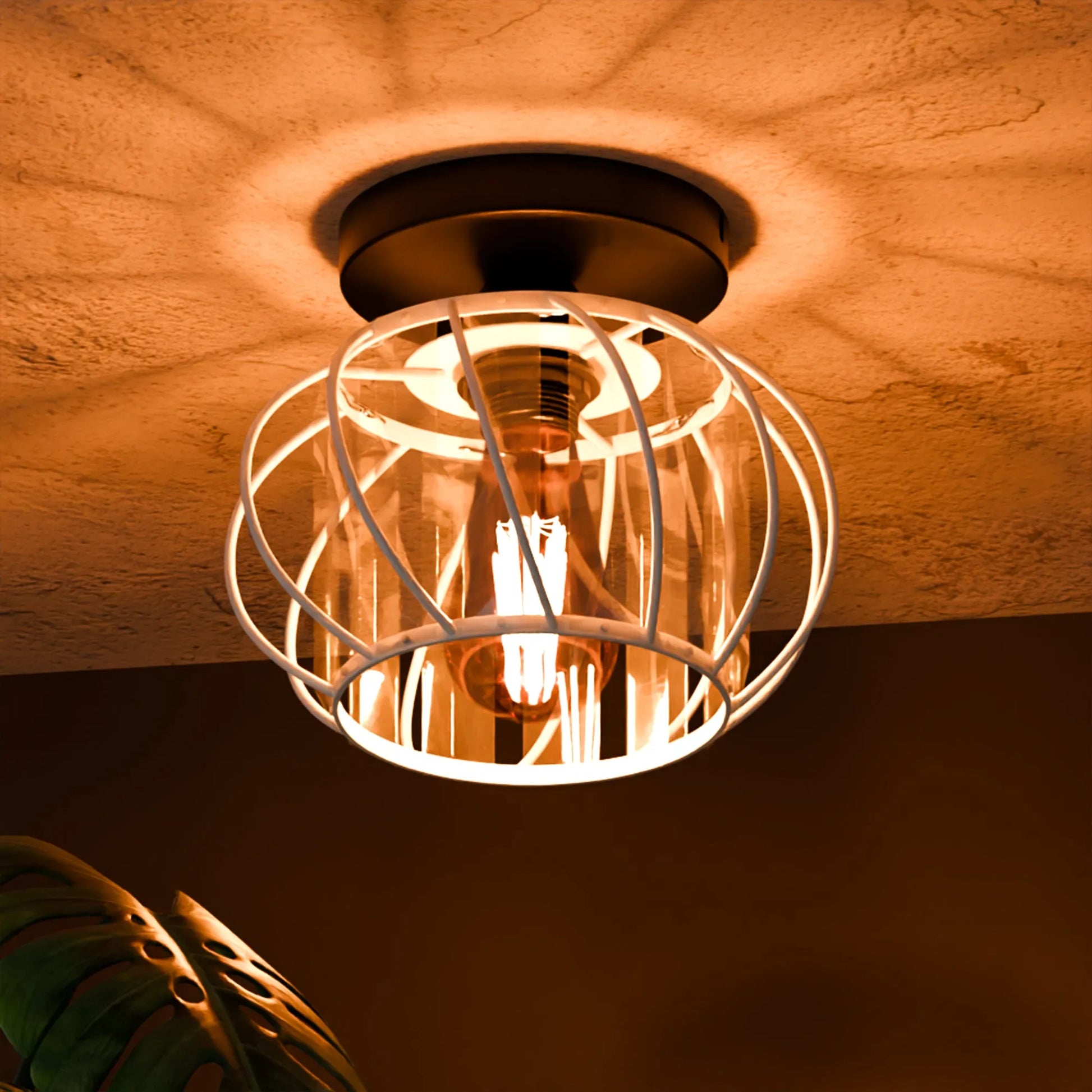 Ceiling Light