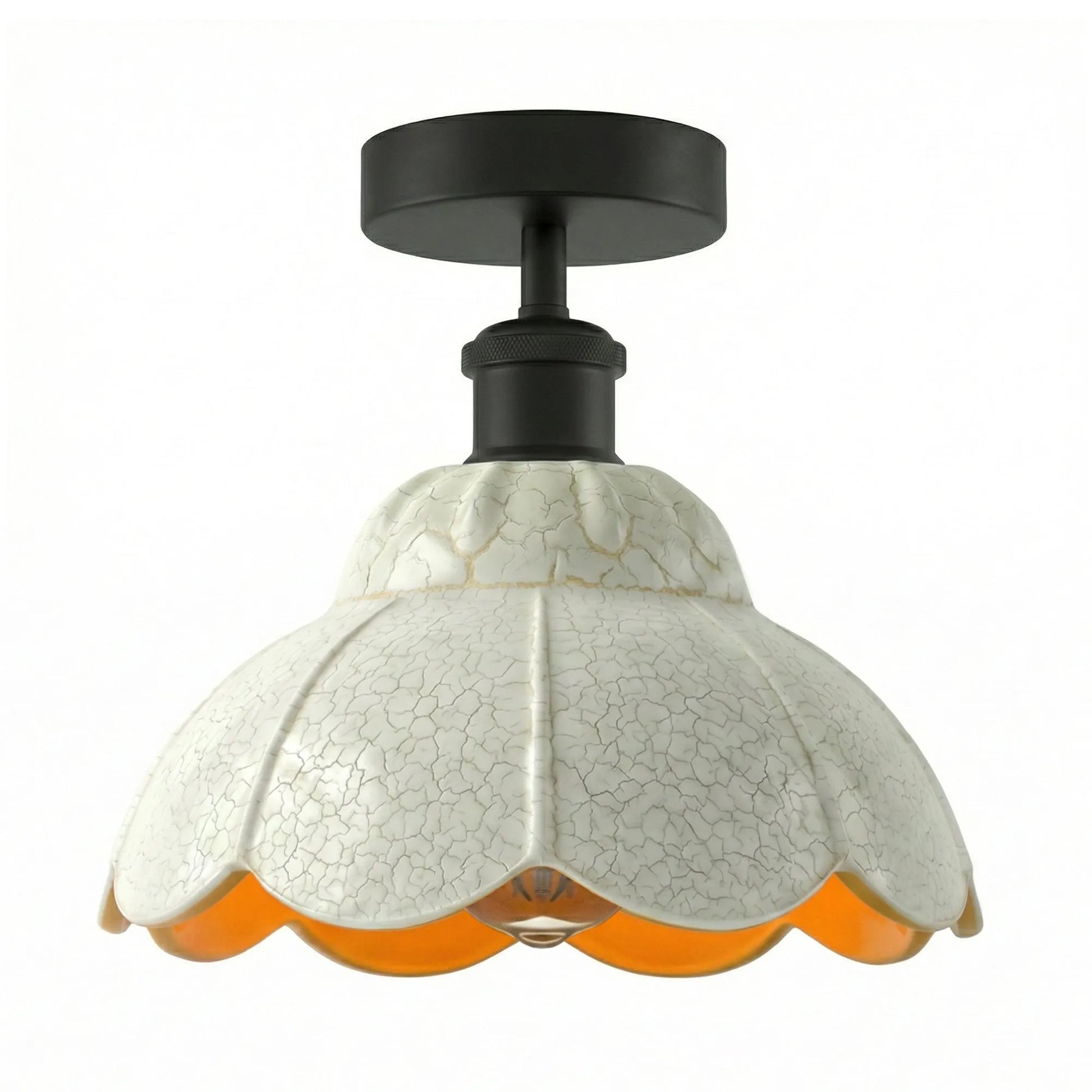 Ceiling Light