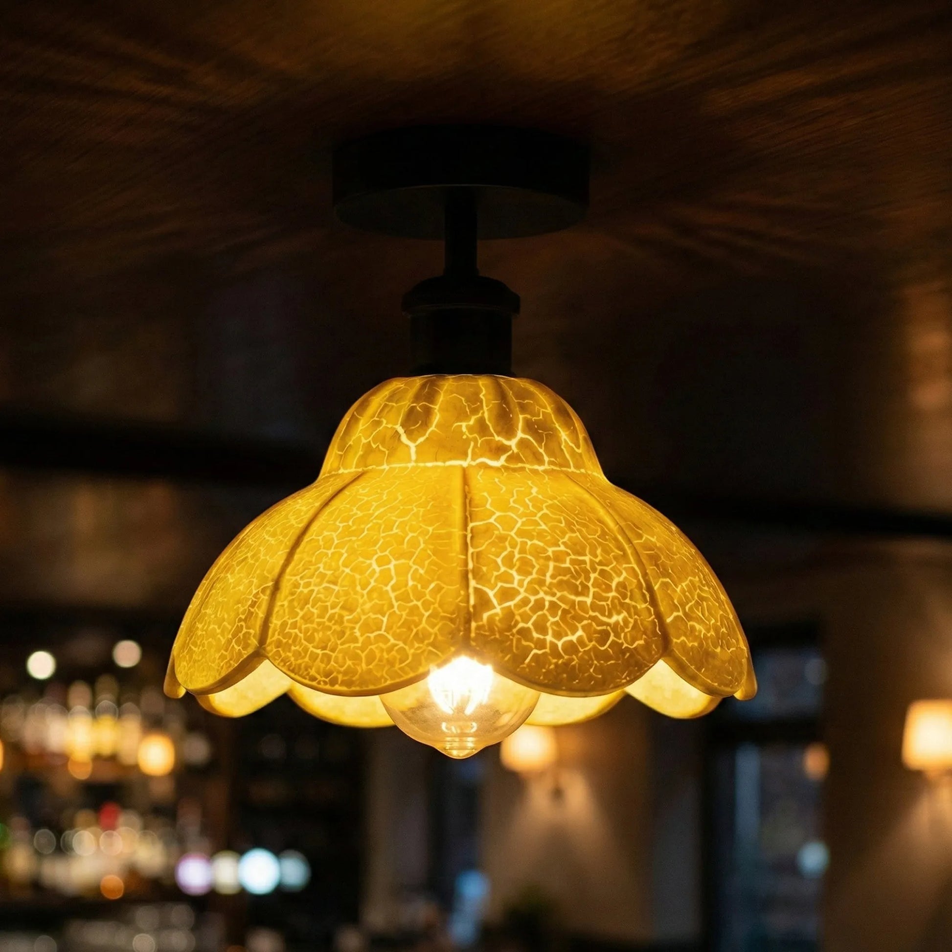 Ceiling Light