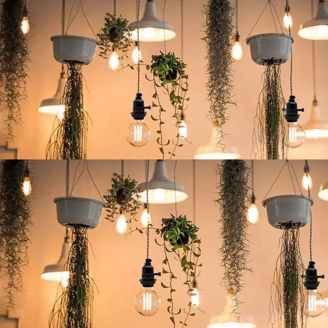 Lamp Holders