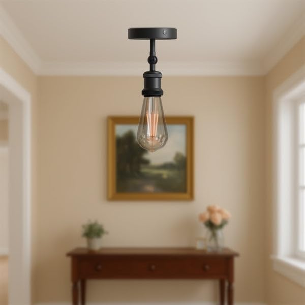 adjustable light fixture ceili
