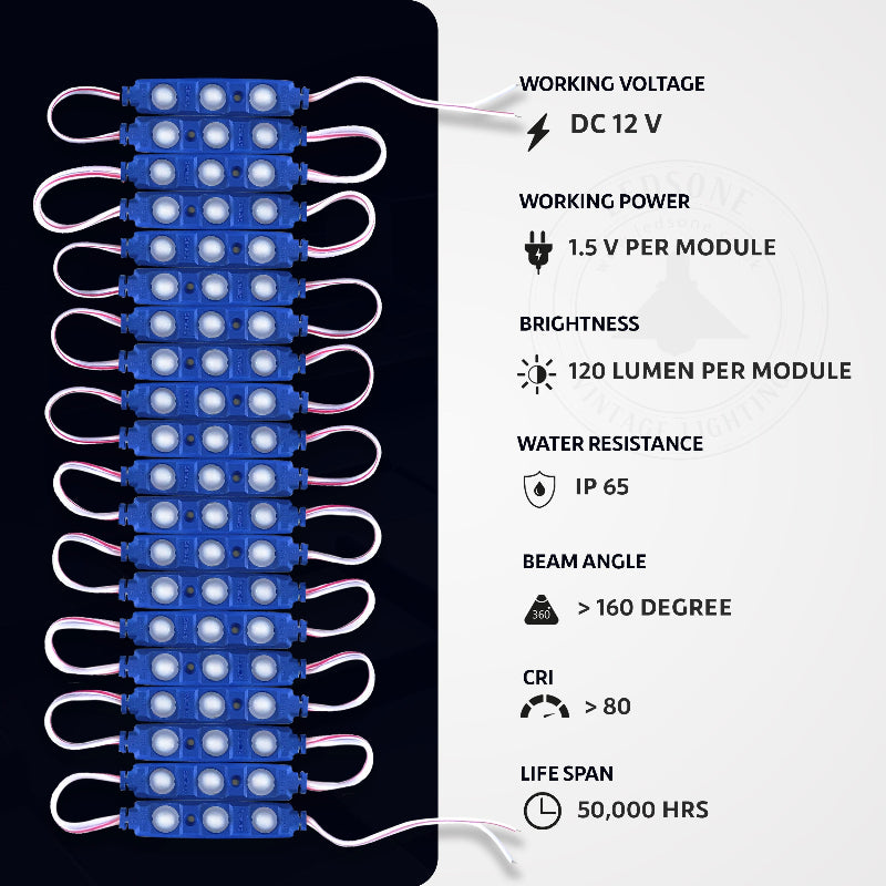 Blaue 12V LED Module