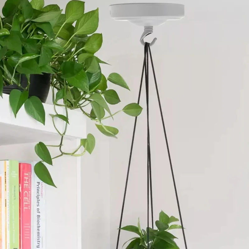 Industrie_Hakenringe_Deckenhaken