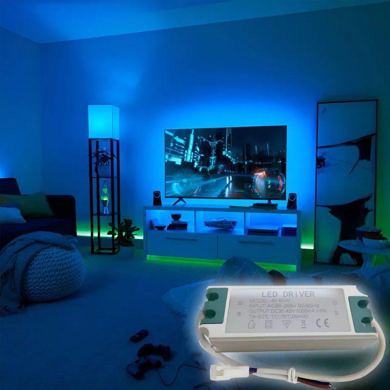 LED transformer 48-60W