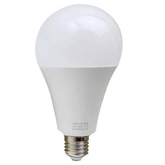 25 W E27 Schraub-LED-Licht GLS-Lampen, energiesparende Edison Cool White 6000 K nicht dimmbare Lichter